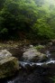 涼しげな川の上流の風景